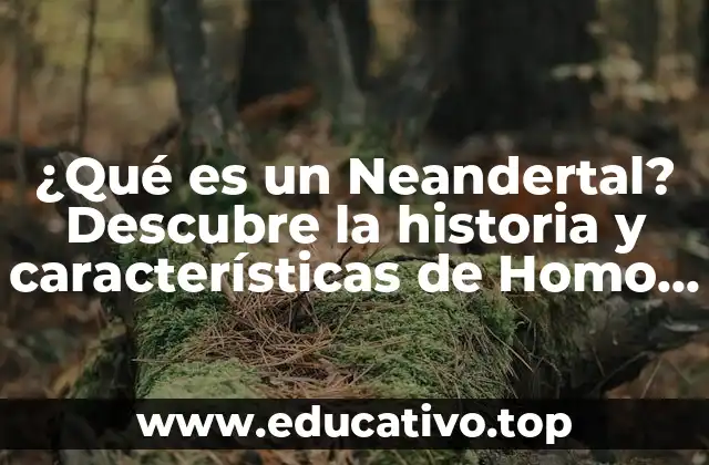 ¿Qué es un Neandertal? Descubre la historia y características de Homo neanderthalensis