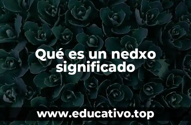 Qué es un nedxo significado