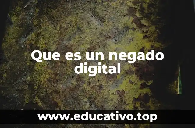 Que es un negado digital