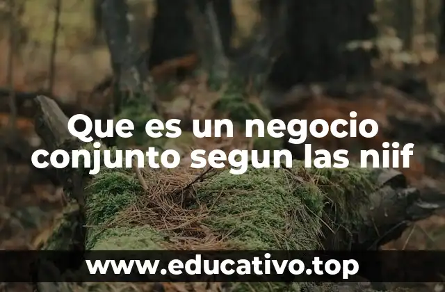 Que es un negocio conjunto segun las niif