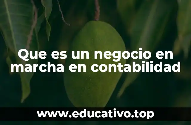 Que es un negocio en marcha en contabilidad