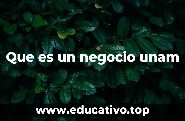Que es un negocio unam