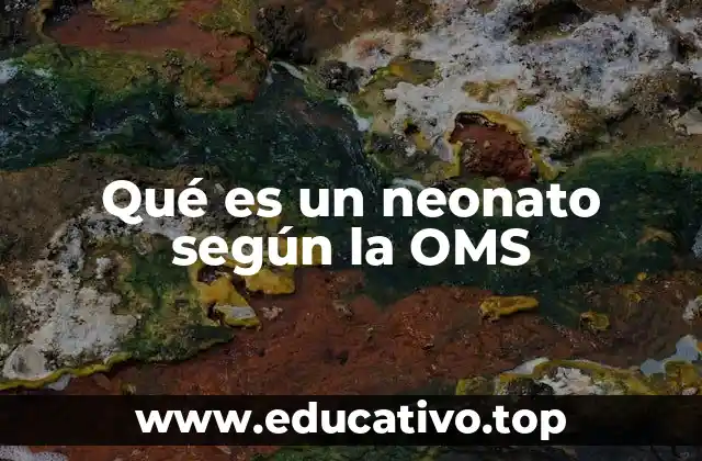 Qué es un neonato según la OMS