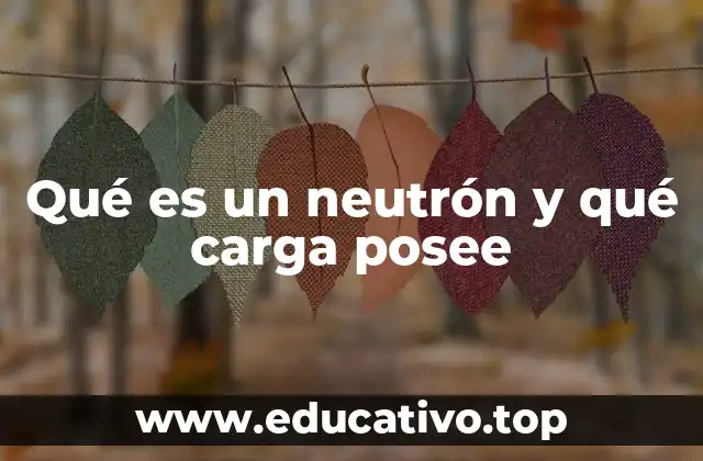 Qué es un neutrón y qué carga posee