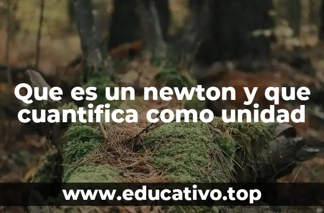 La importancia de la fuerza en la física moderna