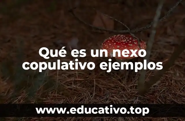Qué es un nexo copulativo ejemplos