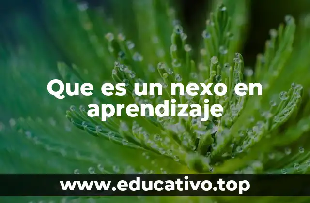 Que es un nexo en aprendizaje