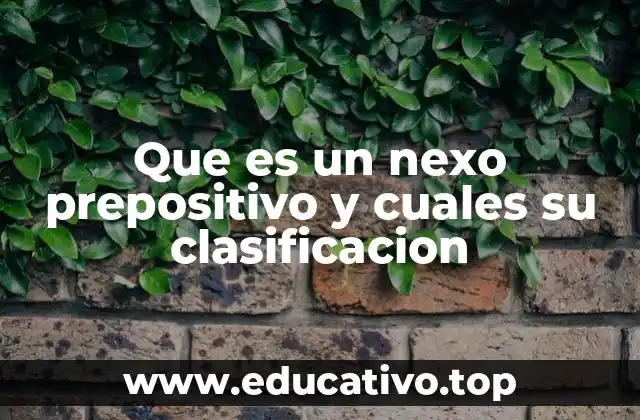 La importancia de los nexos preposicionales en la comunicación oral y escrita