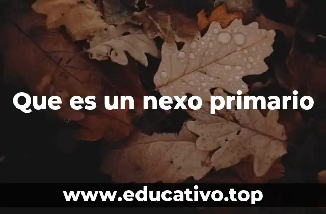 Que es un nexo primario