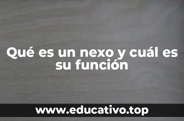 Qué es un nexo y cuál es su función
