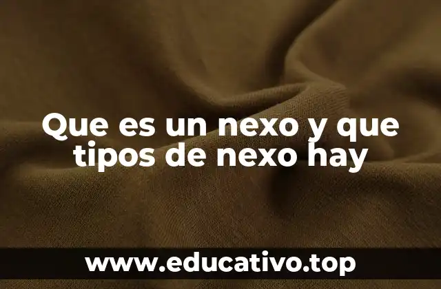 Que es un nexo y que tipos de nexo hay