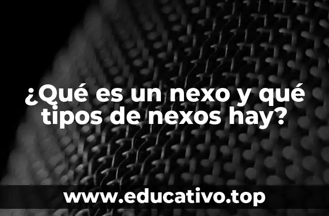 ¿Qué es un nexo y qué tipos de nexos hay?