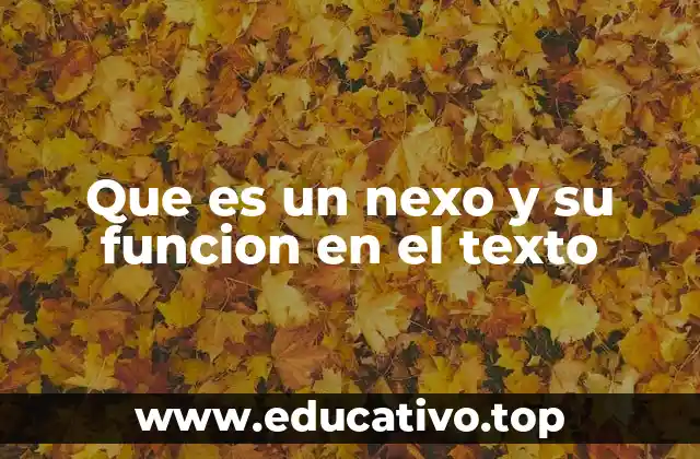 Que es un nexo y su funcion en el texto
