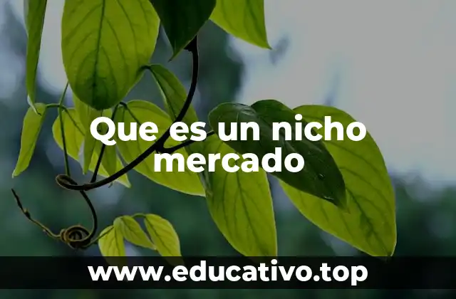 Que es un nicho mercado