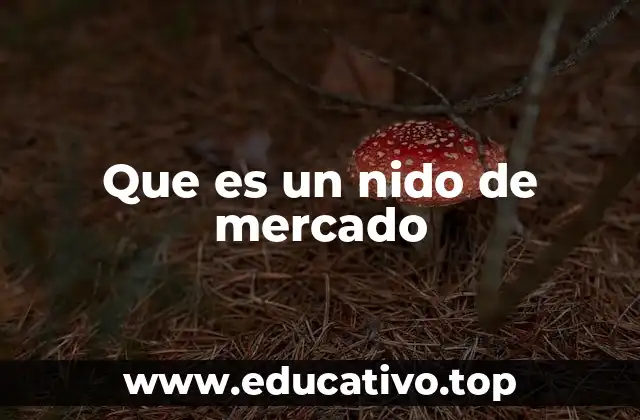 Que es un nido de mercado