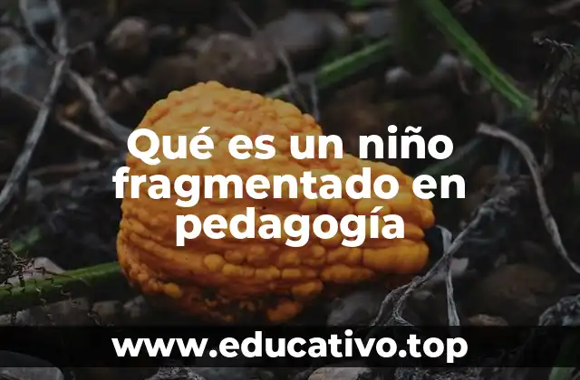 Qué es un niño fragmentado en pedagogía