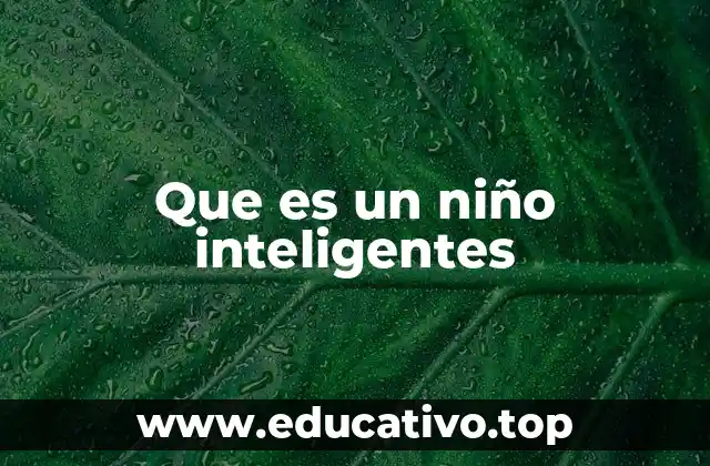 Que es un niño inteligentes