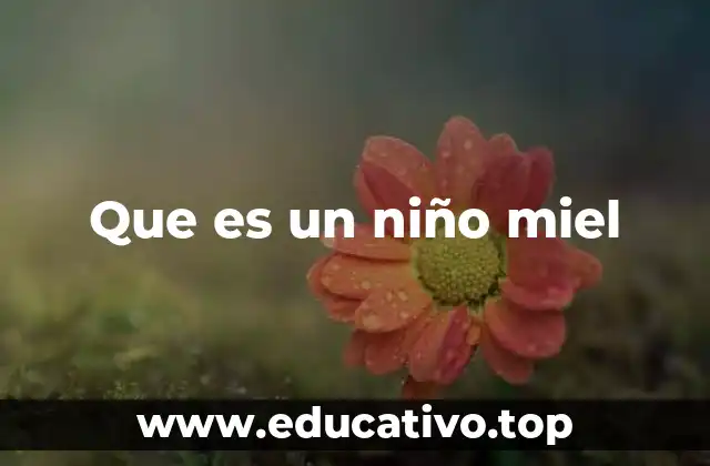 Que es un niño miel