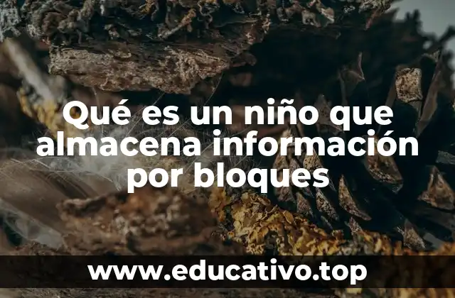 Qué es un niño que almacena información por bloques
