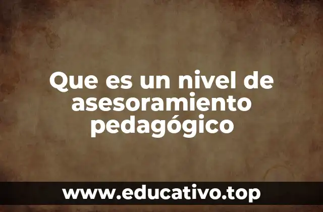 Que es un nivel de asesoramiento pedagógico