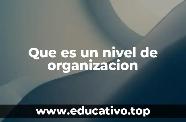 Que es un nivel de organizacion