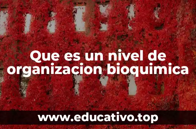 Que es un nivel de organizacion bioquimica