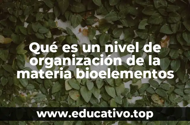 Qué es un nivel de organización de la materia bioelementos