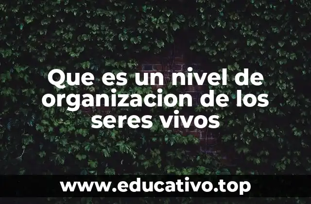 Que es un nivel de organizacion de los seres vivos