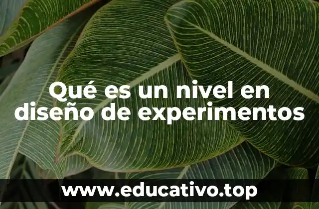 Qué es un nivel en diseño de experimentos