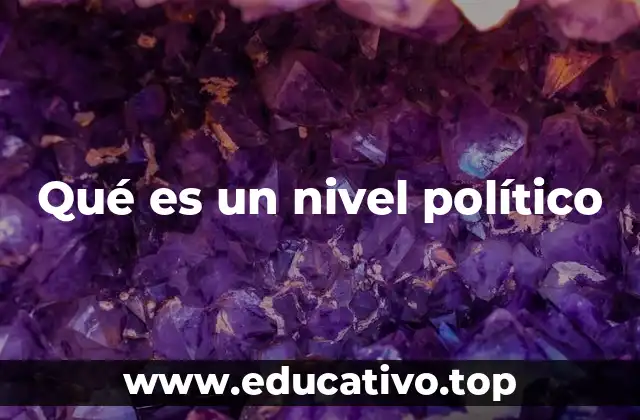 Qué es un nivel político