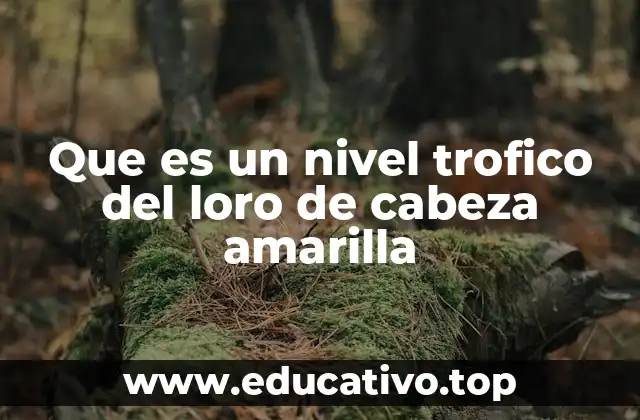Que es un nivel trofico del loro de cabeza amarilla