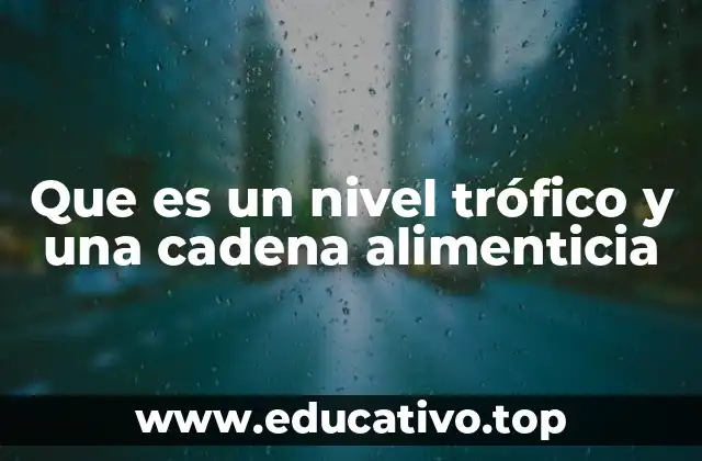 Que es un nivel trófico y una cadena alimenticia