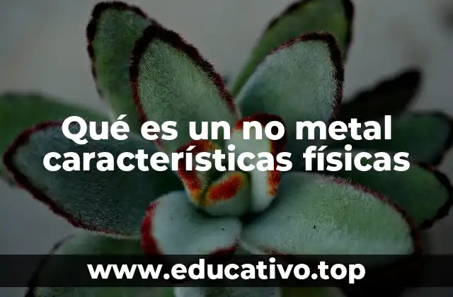 Qué es un no metal características físicas