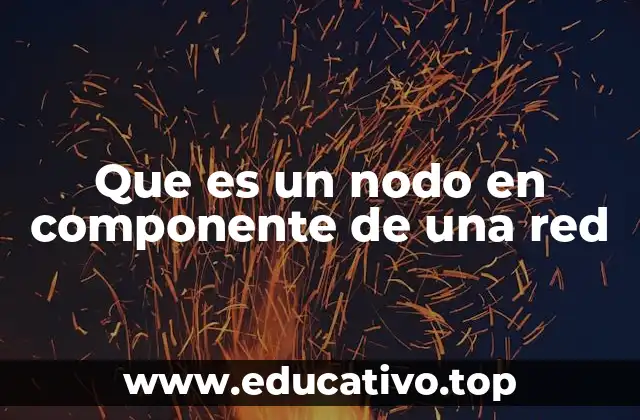 Que es un nodo en componente de una red
