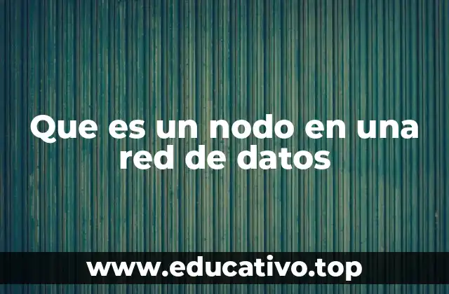 Que es un nodo en una red de datos