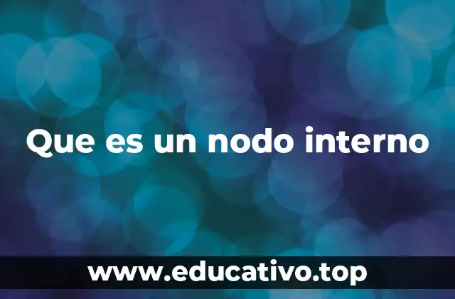 Que es un nodo interno