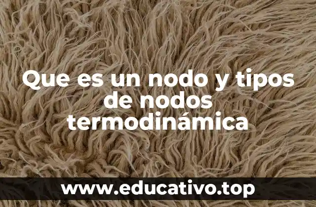 Que es un nodo y tipos de nodos termodinámica