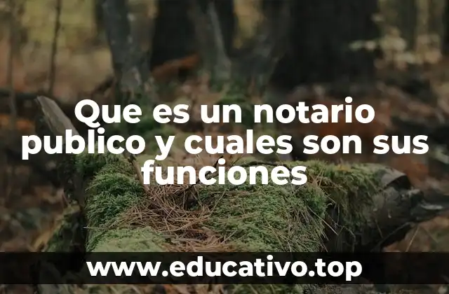 Que es un notario publico y cuales son sus funciones
