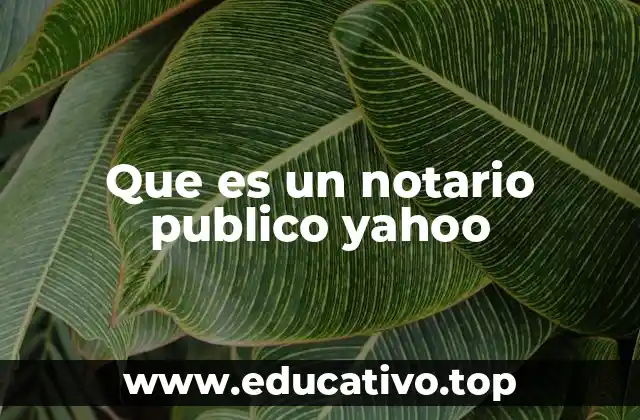 Que es un notario publico yahoo