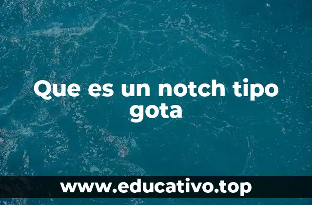 Que es un notch tipo gota