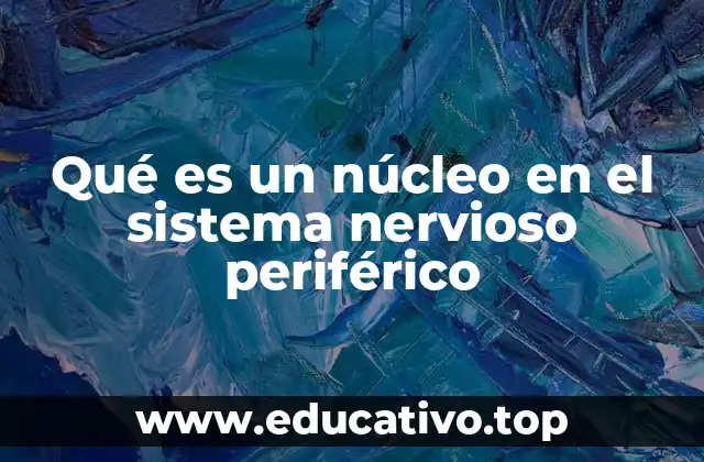 Qué es un núcleo en el sistema nervioso periférico