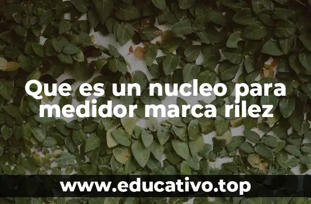 Que es un nucleo para medidor marca rilez