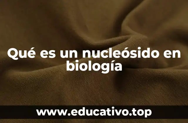 Qué es un nucleósido en biología