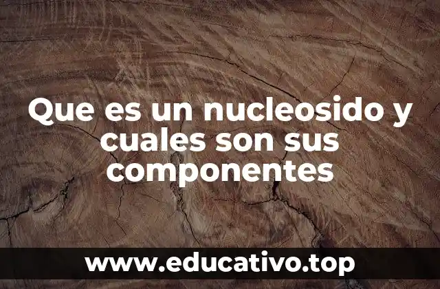 Que es un nucleosido y cuales son sus componentes