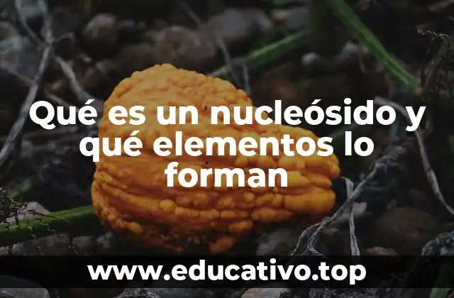 Qué es un nucleósido y qué elementos lo forman
