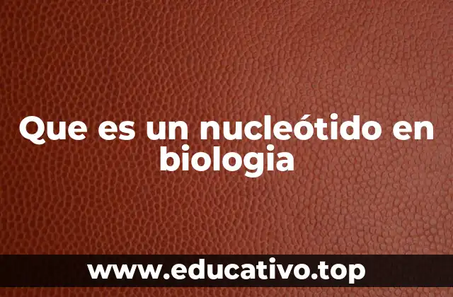 Que es un nucleótido en biologia