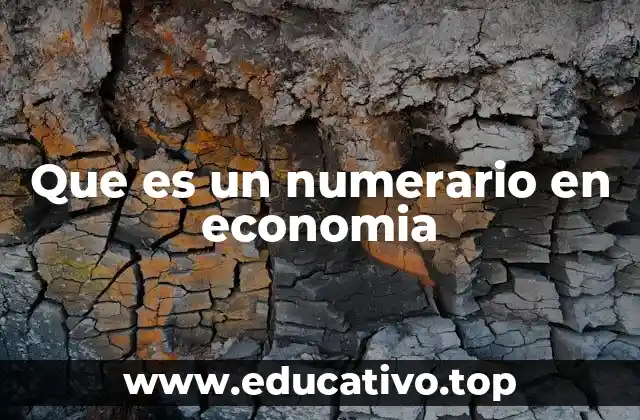 Que es un numerario en economia
