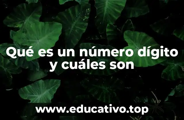 Qué es un número dígito y cuáles son