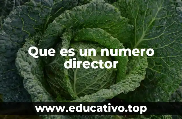 Que es un numero director