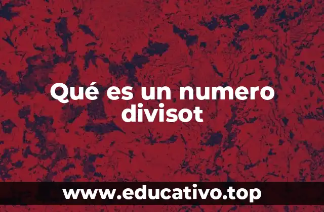 Qué es un numero divisot